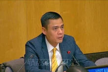 El embajador Dang Hoang Giang, jefe de la misión de Vietnam ante la ONU (Foto: VNA)