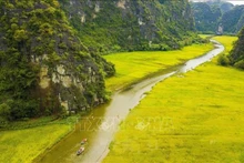 La belleza de Ninh Binh (Foto: VNA)