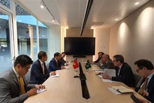 El canciller vietnamita Bui Thanh Son en la reunión con su homólogo de Brasil, Mauro Vieira (Foto: VNA)