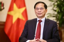 El viceprimer ministro y canciller Bui Thanh Son. (Foto: VNA)