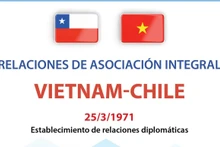 Relaciones de asociación integral Vietnam-Chile