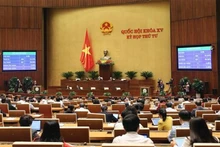 Panorama de la sesión. (Fotografía: VNA)