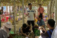 Provincia vietnamita de Ninh Thuan implementa programas nacionales