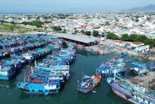Vietnam trabaja por lograr pesca sostenible