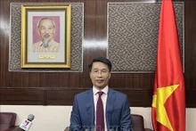 El cónsul general de Vietnam en Hong Kong (China), Pham Binh Dam. (Fotografía: VNA)
