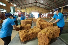 En una fábrica de caucho en la provincia sureña de Binh Phuoc. (Fotografía: VNA)