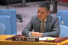 El embajador Dang Hoang Giang, jefe de la Misión permanente de Vietnam ante las Naciones Unidas. (Fotografía: VNA)