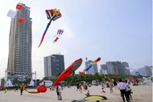 Ciudad de Da Nang. (Fotografía: VNA)