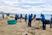 Jóvenes de la ciudad de Quy Nhon recogen basuras para limpiar la costa de la comuna de Nhon Ly. (Fotografía: VNA)
