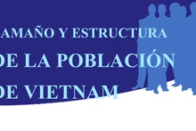 Estructura de la población de Vietnam a través de períodos distintos