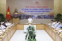 El viceprimer ministro de Vietnam Tran Luu Quang preside la reunión. (Fotografía: VNA)