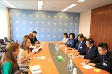 El panorama de la reunión entre representantes vietnamitas y de las Naciones Unidas. (Fotografía: VNA)