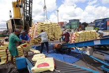 Vietnam ha registrado recientemente un volumen y valor récord de exportación de arroz. (Fotografía: VNA)
