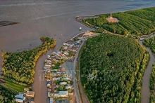 El Delta de Mekong, Vietnam. (Fotografía: VNA)