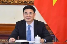 El viceministro de Relaciones Exteriores de Vietnam, Pham Quang Hieu. (Fotografía: VNA)