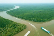 Planean convertir a Can Gio en ciudad de ecoturismo. (Fotografía: thanhnien.vn)