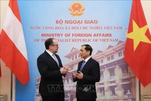 El ministro de Relaciones Exteriores de Vietnam, Bui Thanh Son, y su homólogo austriaco, Alexander Schallenberg. (Fotografía: VNA)