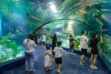 Mundo oceánico realista en el Acuario Lotte World Hanói