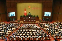 La quinta reunión extraordinaria del Parlamento de la XV legislatura (Fuente:VNA)