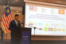 El embajador Dinh Ngoc Linh habla en el evento. (Fotografía: VNA)