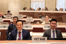 El embajador Mai Phan Dung y la delegación vietnamita. (Fotografía: VNA)