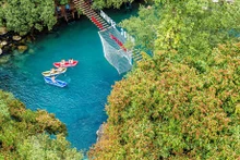 Coloridas flores de ashoka en Phong Nha-Ke Bang de Vietnam