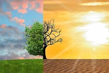 Foto de ilustración. 