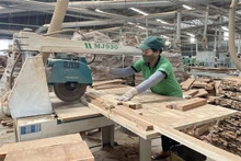 Empresas exportadoras de procesamiento de madera. (Fotografía: VNA)
