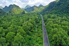 Parque Nacional Cat Ba: 'pulmón verde' en medio del mar