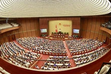 Panorama del evento. (Fotografía: VNA)