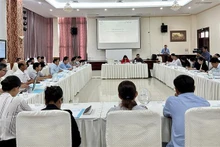Panorama del evento. (Fotografía: VNA)
