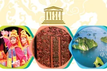 Patrimonios culturales de Vietnam, donde preservan valores preciosos de la nación y mundo