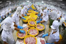 Los bienes acuáticos son uno de los productos fuertes de Vietnam en el mercado del CPTPP. (Fotografía: VNA)