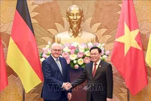 El presidente de la Asamblea Nacional de Vietnam, Vuong Dinh Hue, y el presidente alemán, Frank - Walter Steinmeier. (Fotografía: VNA)