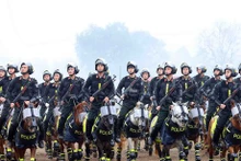 Policía Móvil de Caballería vietnamita se profesionaliza día a día