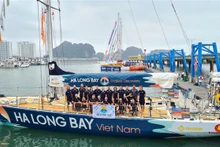 Clipper Race: Vietnam atraca en puerto de cruceros Ha Long en quinto lugar. (Fotografía: VNA)