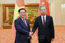 El presidente de la Asamblea Nacional de Vietnam, Vuong Dinh Hue (izquierda) y el titular del Comité Permanente de la Asamblea Popular Nacional de China, Zhao Leji. (Fotografía: VNA)