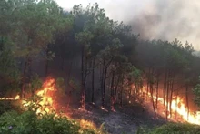Incendio en un bosque en la provincia de Nghe An. (Fotografía: baochinhphu.vn)