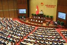 Panorama de la cita. (Fotografía: VNA)