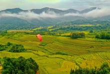 Efectuarán en Quang Ninh Semana Cultural y Festival de la Temporada Dorada 2023.