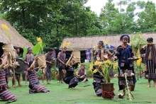 Celebran múltiples actividades culturales de etnias minoritarias en Hanói en agosto. (Fotografía: dangcongsan.vn)