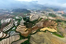[Foto] Bella temporada de arroz dorado en Lai Chau