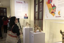 Presentan al público hanoyense “mensajero de sierra peruana”.
