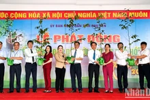 Lanzan en provincia de Phu Yen campaña de siembra de árboles.