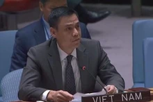 El embajador Dang Hoang Giang, jefe de la misión de Vietnam ante la ONU. (Fotografía: VNA)