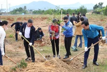 Da Nang contribuye a la protección del medio ambiente con mil árboles.