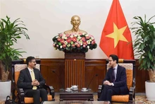 El viceministro de Relaciones Exteriores Do Hung Viet (derecha) y el relator especial de la ONU sobre el derecho al desarrollo, Surya Deva. (Fotografía: VNA)