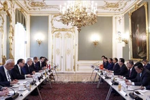 El presidente de Vietnam, Vo Van Thuong, sostiene conversaciones con su homólogo austriaco, Alexander Van der Bellen. (Fotoografía: VNA)