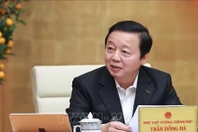 El viceprimer ministro vietnamita Tran Hong Ha en una reunión. (Fotografía: VNA)