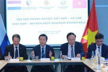 El viceprimer ministro Tran Hong Ha en las conversaciones con empresarios holandeses.(Fotografía: VNA)